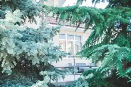 Морской Конёк - 17