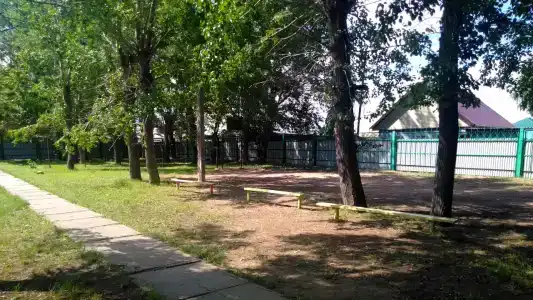 Медуница - 1