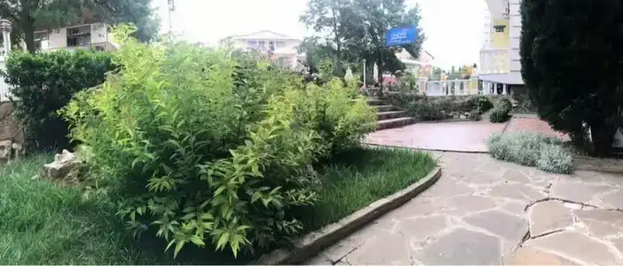 Лазурный - 41