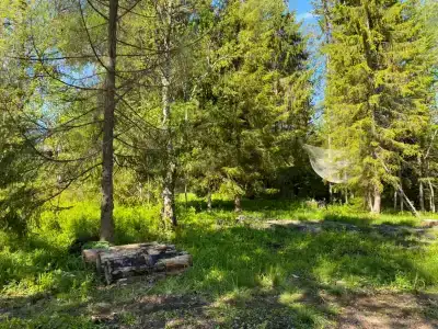 Карелия Парк - 79