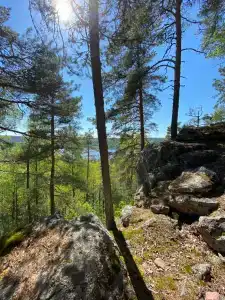 Карелия Парк - 70