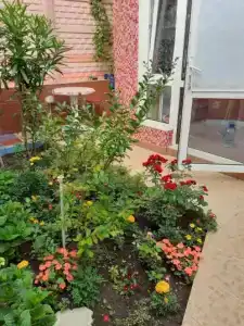 Полина - 17
