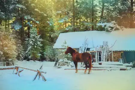 Таежная Рось - 14