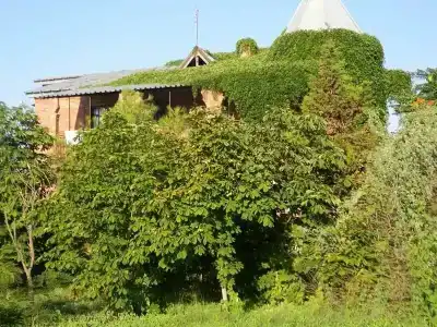 Киммерик - 2