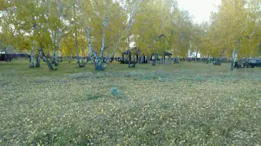 Отрадная - 21