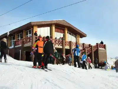 Снегири - 10