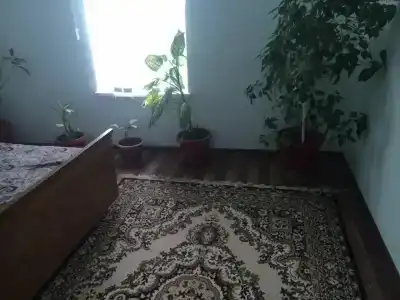 21 Век - 12