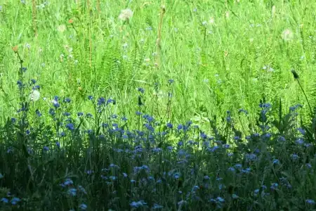 Ологужан - 19