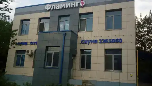 Фламинго - 24