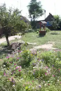 Капитан - 24