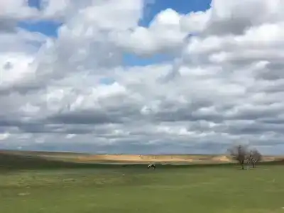 Золотой плав - 3