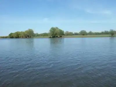 Золотой плав - 5