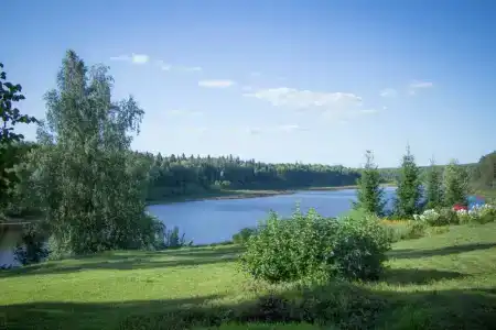 Имение Сведомских - 28