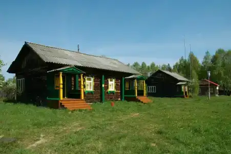 Подсолнухи - 2