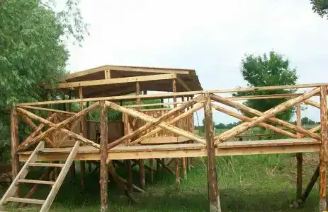 Олигри Фиш - 2