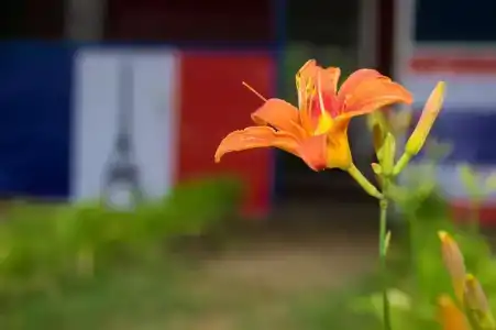 Остров Добра - 22