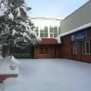 Сосны - 62