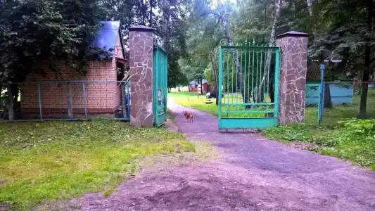 Старт - 19