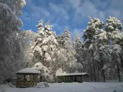 Пионер - 14