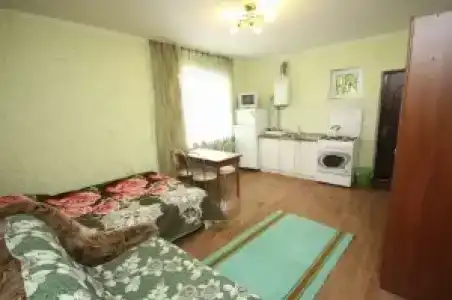 Гостевой дом у Ольги - 14