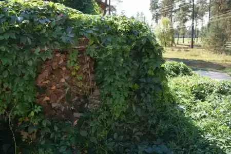 Айсберг Угры - 40