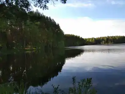 Белый Дельфин - 28