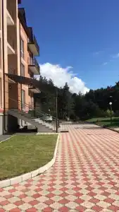 Дзинага - 11
