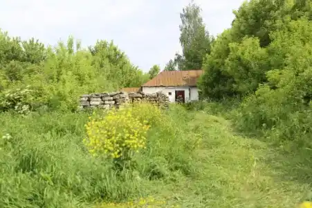 Богатица - 2