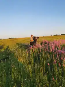 Храброво - 39