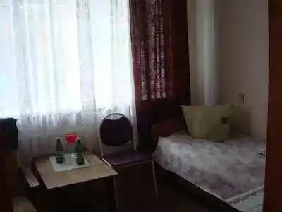 Сосновый бор - 12