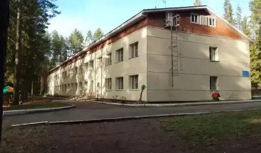 Селычка - 4