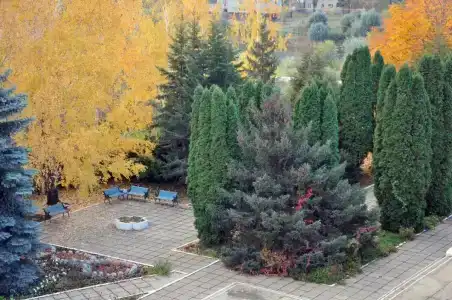 Волга - 8