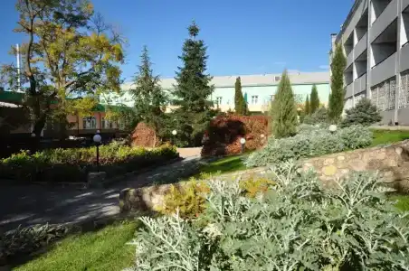 Буревестник - 4