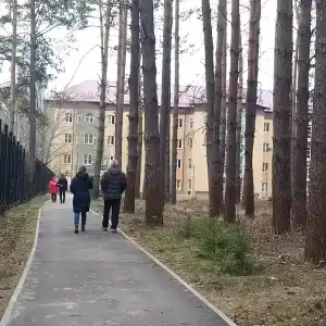 Борок - 30
