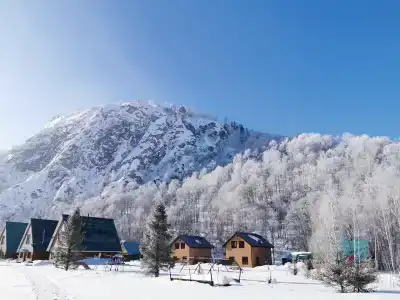 Лесная сказка - 2