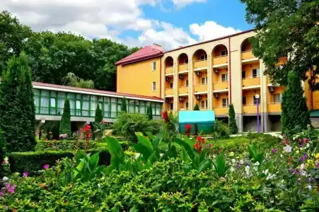 Лесной - 0