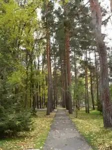 Шмаковский - 2