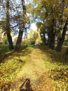 Родничок - 3