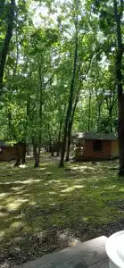 Гринвилль - 49