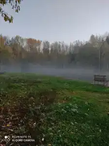 Чаща - 14