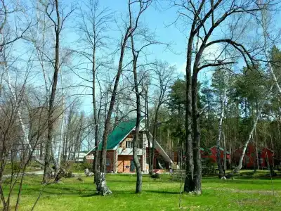 Лесная Быль - 26