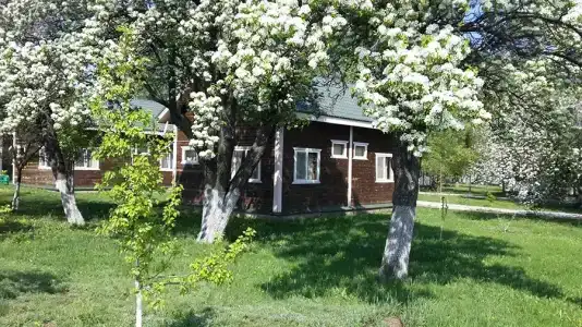 Рыба Зверь - 1