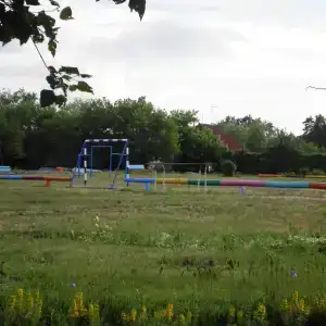 Сосны - 48