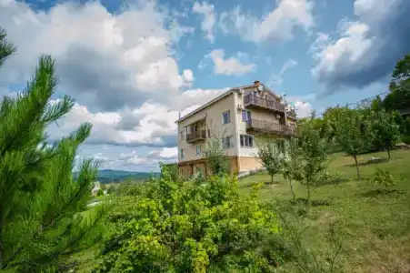 Усадьба Кутлер - 12