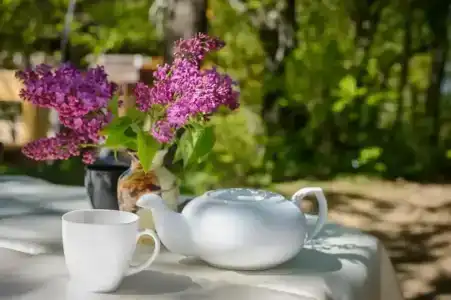 Усадьба Кутлер - 6