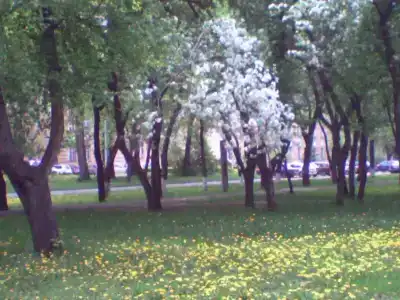 Томь-Усинский - 3