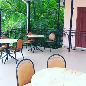 Дельфин - 0