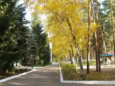 Детский санаторий имени Менжулина - 8