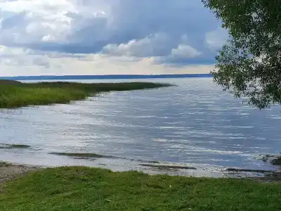 Дубки - 1