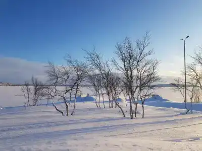 Канентъявр - 22